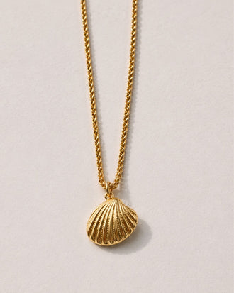 She Sells Seashells