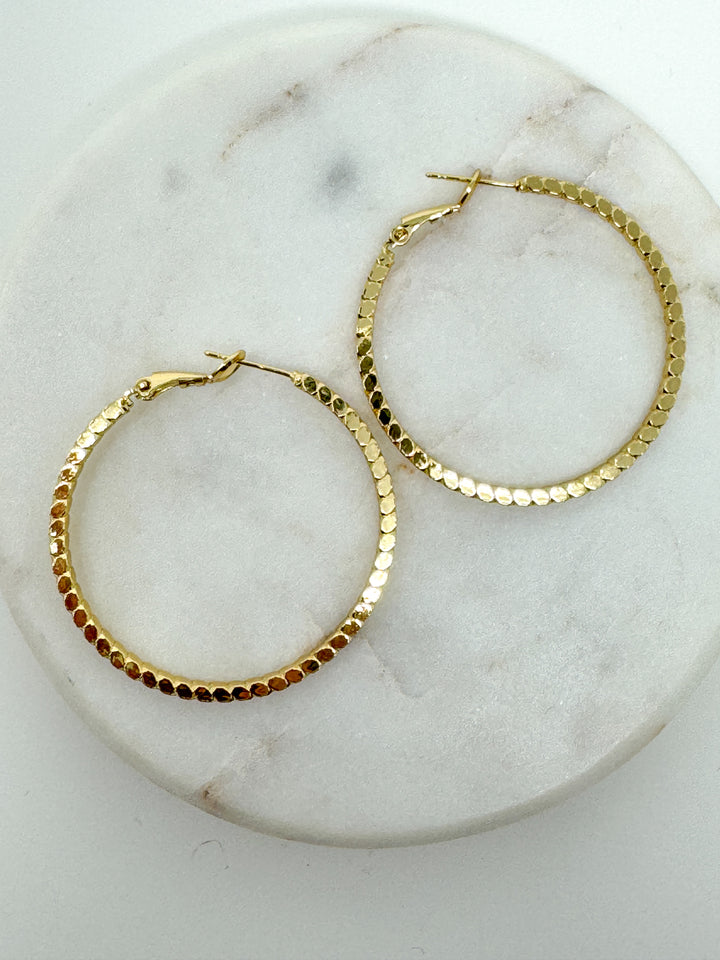 Sophia Hoops