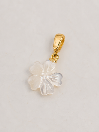 Hibiscus Charm