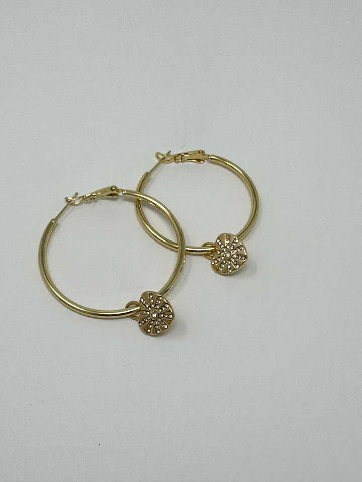 The Heart Burst Earrings