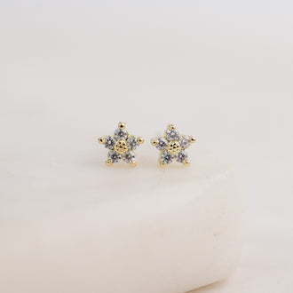 Star Studded Earrings