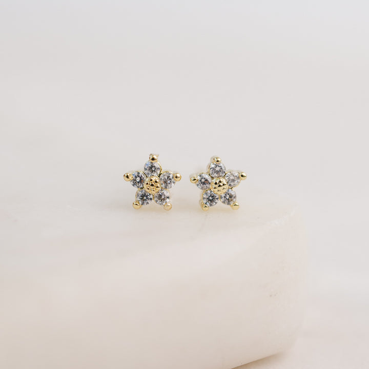 Star Studded Earrings