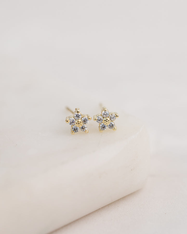 Star Studded Earrings